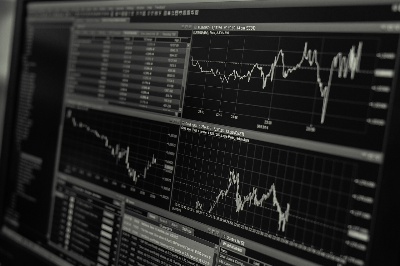 Capital Strategy & Allocation